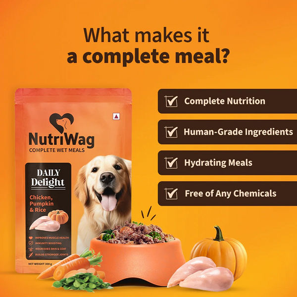 NutriWag Daily Delight Chicken, Pumpkin & Rice Dog Wet Food