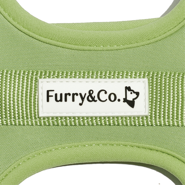 Furry & Co Bold Harness for Dogs (Matcha Latte)