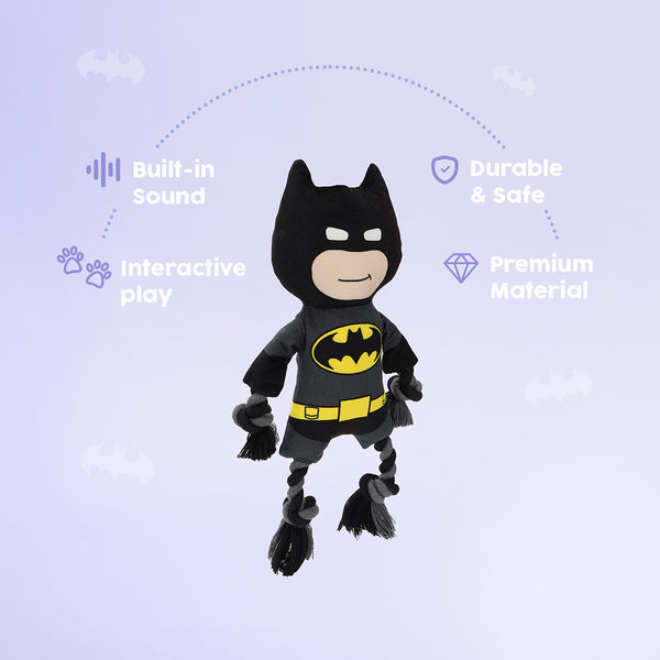 Warner Bros Batman Plush Toy for Dogs and Cats