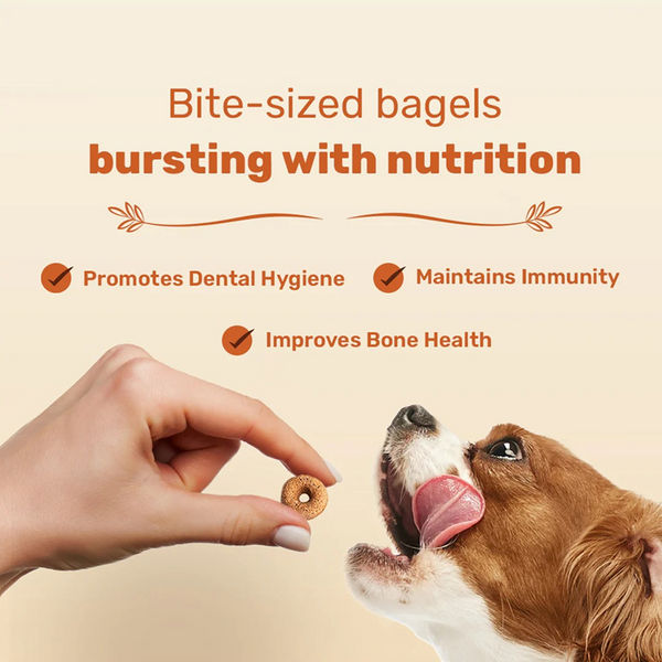 HUFT Bagel Bites Gluten Free Real Chicken & Cheese Dog Treats