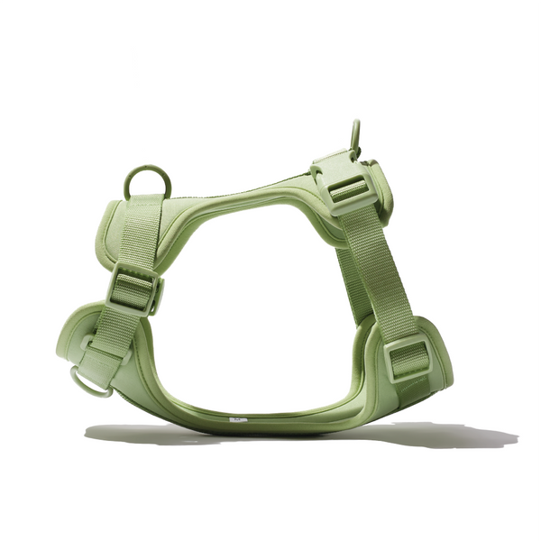 Furry & Co Bold Harness for Dogs (Matcha Latte)