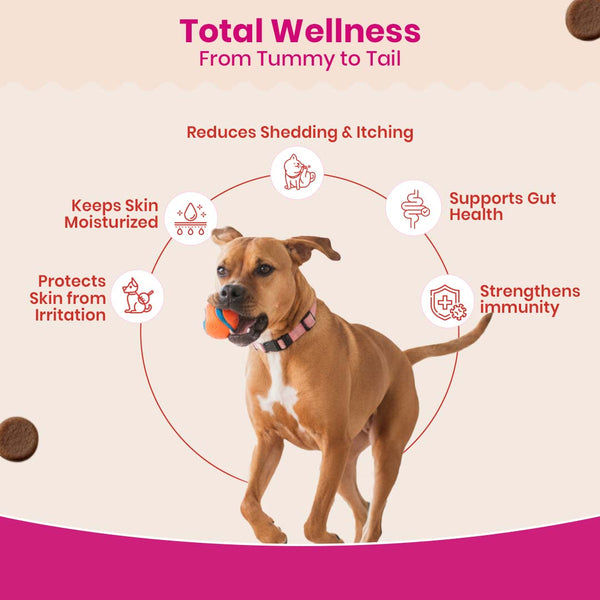 TailsAlive Probiotic, Immunity Booster and Skin & Coat Chews Allergy & Itch Relief Combo for Dogs