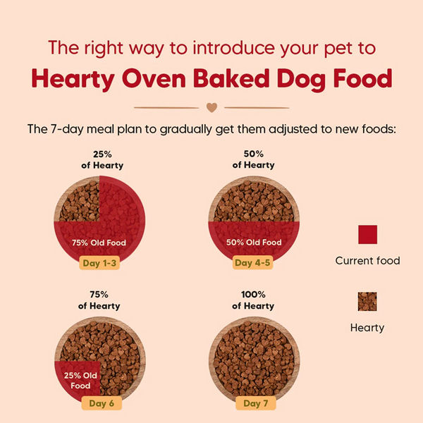 HUFT Hearty Oven Baked Lamb & Blueberry with Superfood Adult Dog Dry Food
