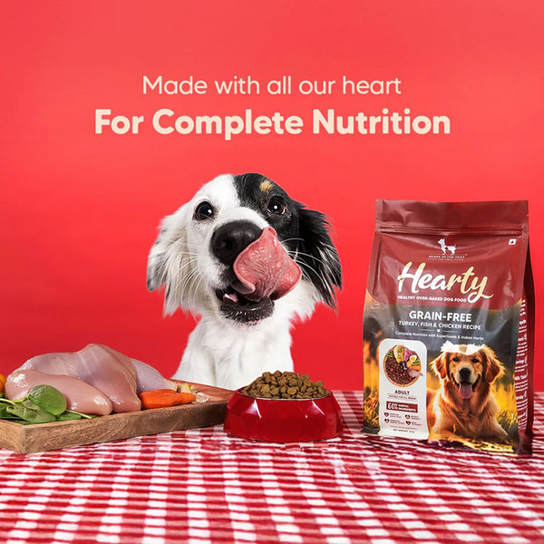 HUFT Hearty Oven Baked Grain Free Turkey, Fish & Chicken with Superfood Adult Dog Dry Food