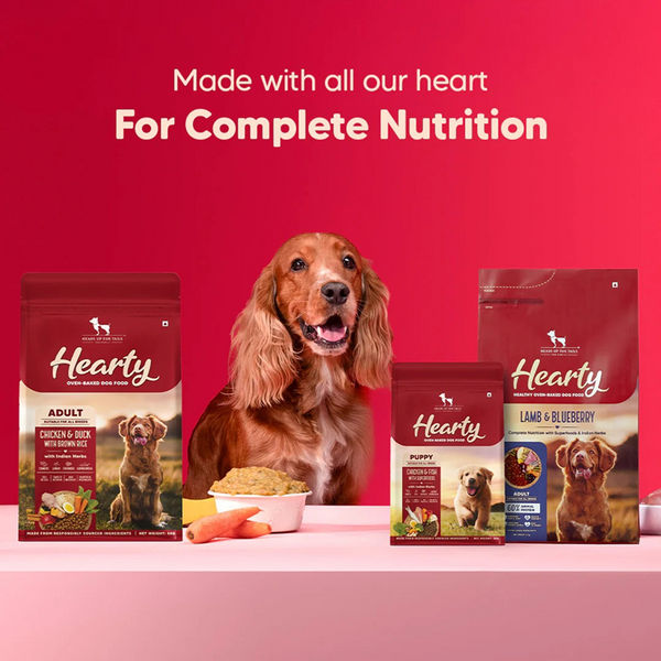 HUFT Hearty Oven Baked Lamb & Blueberry with Superfood Adult Dog Dry Food