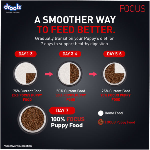 Drools Focus Super Premium Puppy Dog Dry Food | Corn & Wheat Free Formula
