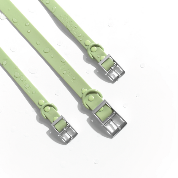 Furry & Co Weatherproof Leash for Dogs (Matcha Latte)