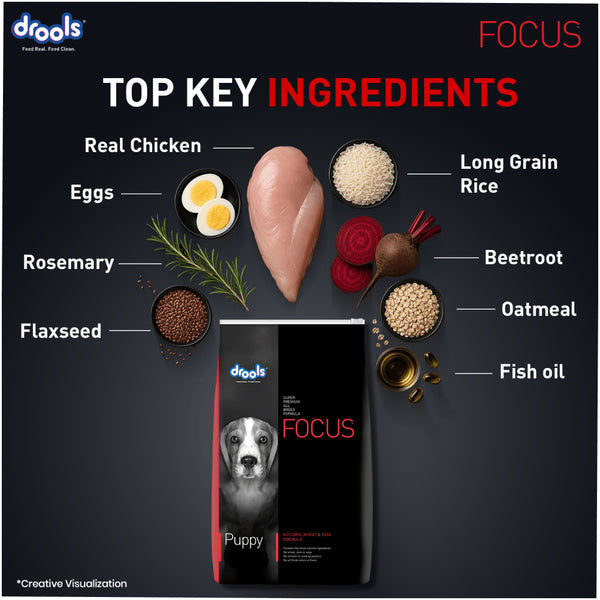 Drools Focus Super Premium Puppy Dog Dry Food | Corn & Wheat Free Formula
