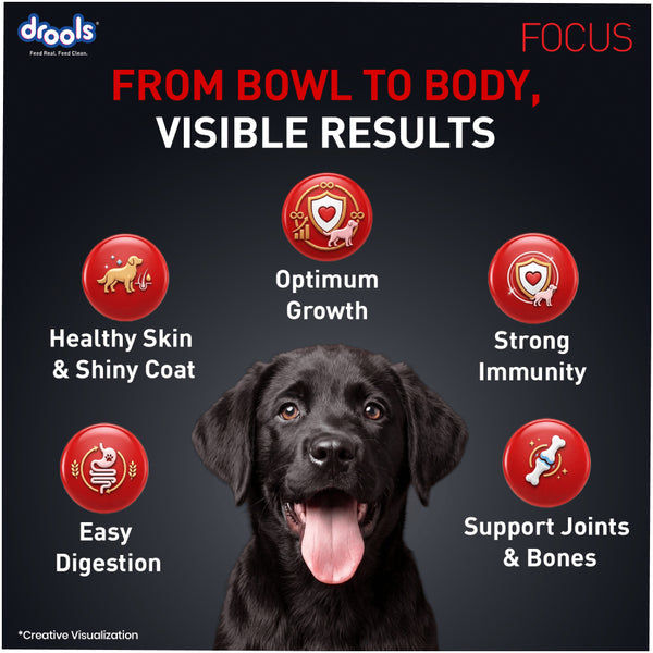 Drools Focus Super Premium Puppy Dog Dry Food | Corn & Wheat Free Formula