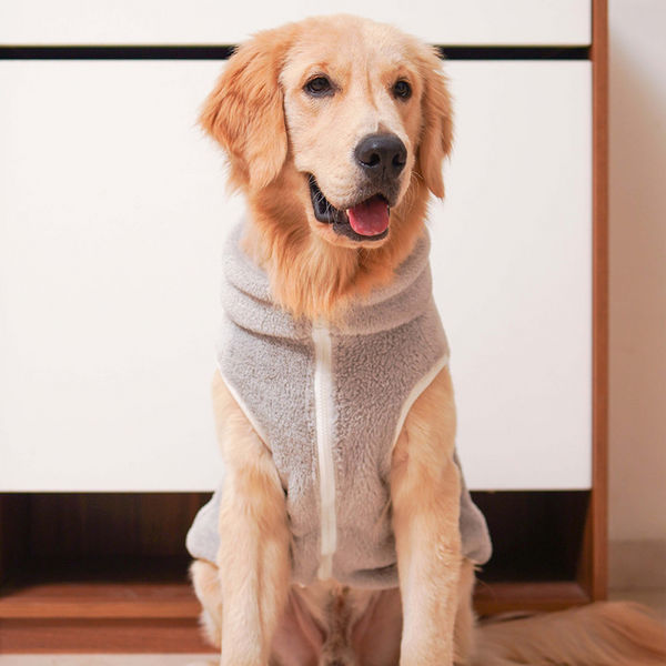Pets Way Crazy Fur Winter Jacket for Dogs (Ash)