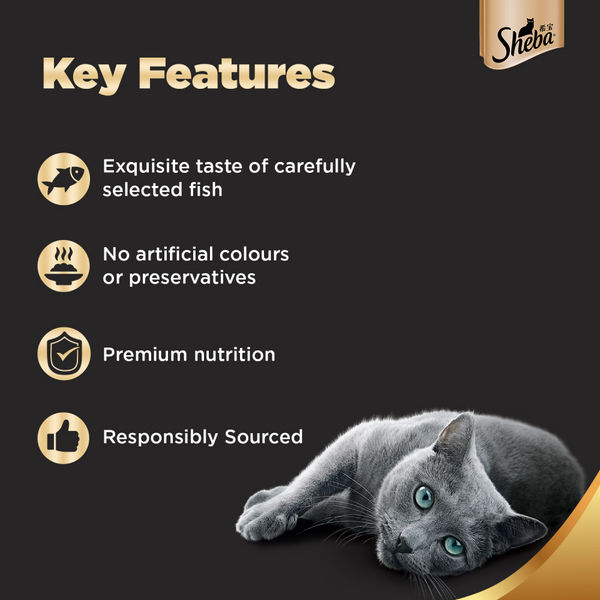 Sheba Fish with Sasami, Dry Bonito Flake and Maguro & Bream Fish Mix Premium Cat Wet Food Combo
