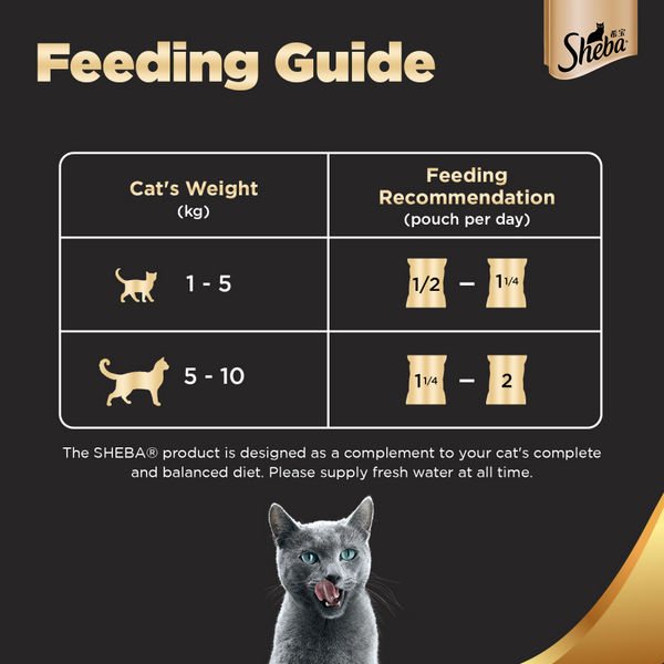 Sheba Fish with Dry Bonito, Maguro & Bream and Fish with Sasami Flake Premium Cat Wet Food Combo