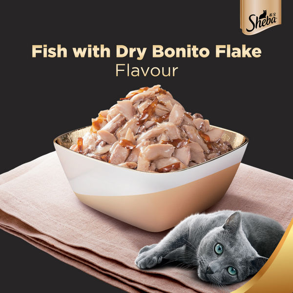 Sheba Chicken With Tuna In Gravy and Fish with Dry Bonito Flake Premium Cat Wet Food Combo