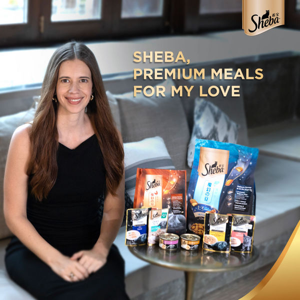 Sheba Maguro & Bream Fish, Skipjack & Salmon Fish and Fish with Sasami Mix Premium Cat Wet Food Combo