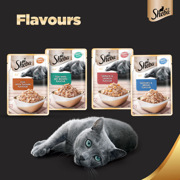 Sheba Fish with Sasami, Dry Bonito Flake and Maguro & Bream Fish Mix Premium Cat Wet Food Combo