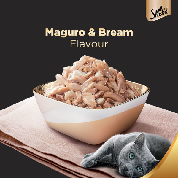 Sheba Fish with Dry Bonito, Maguro & Bream and Fish with Sasami Flake Premium Cat Wet Food Combo