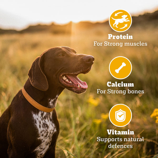 Pedigree Chicken Flavour Biscrok Biscuits Dog Treats (900g)