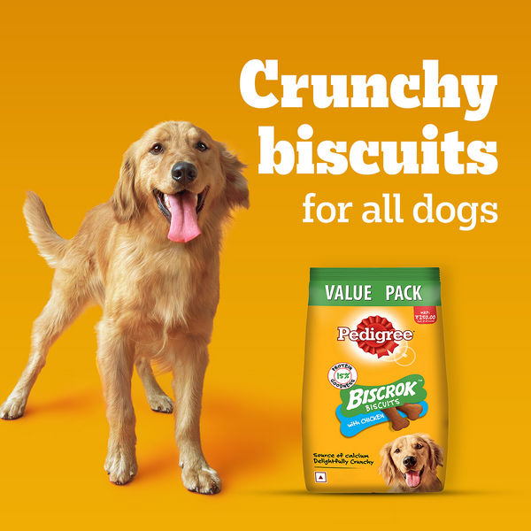 Pedigree Chicken Flavour Biscrok Dog Biscuits Dog Treats (500g)