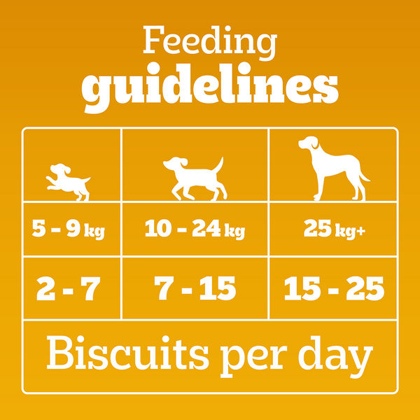 Pedigree Lamb Flavour Biscrok Biscuits Dog Treats (900g)
