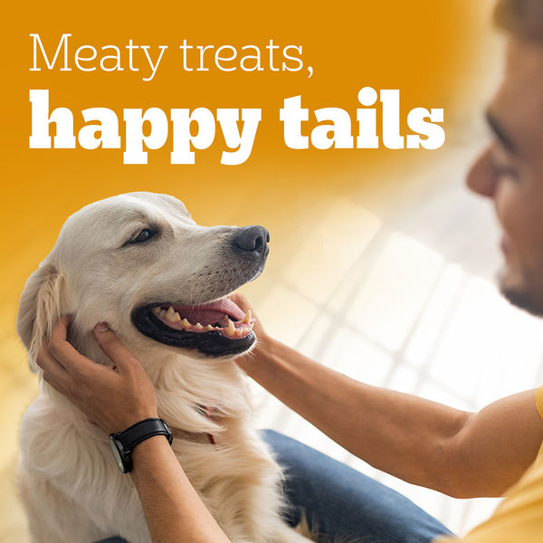 Pedigree Ranchos Super Bones Chicken & Milk Dog Treats