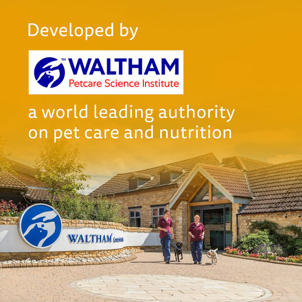 Pedigree Chicken Flavour Biscrok Biscuits Dog Treats (900g)