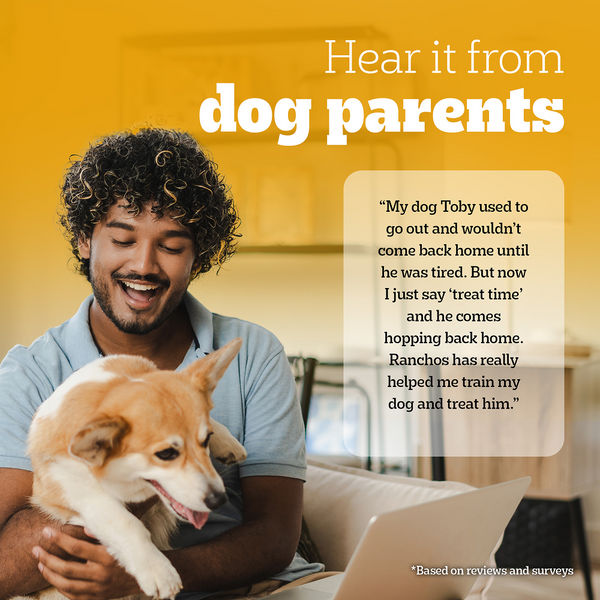 Pedigree Ranchos Spiral Wrap Chicken & Smokey Lamb Dog Treats