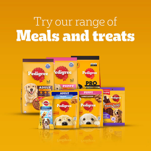 Pedigree Ranchos Spiral Wrap Chicken & Smokey Lamb Dog Treats