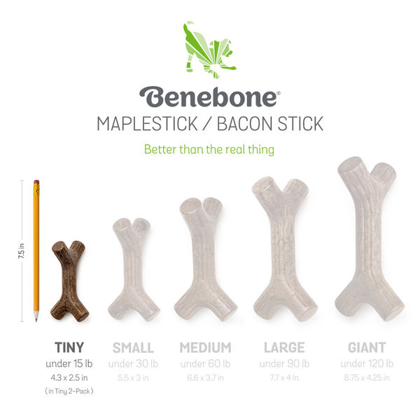 Benebone Maplestick and Zaggler Bacon Chew Toys for Puppy