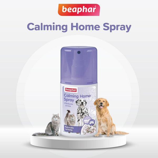 Beaphar Calming Home Spray for Dogs and Cats