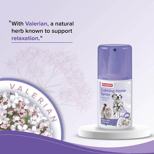 Beaphar Calming Home Spray for Dogs and Cats
