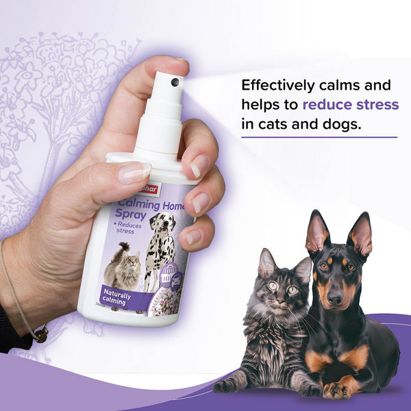 Beaphar Calming Home Spray for Dogs and Cats