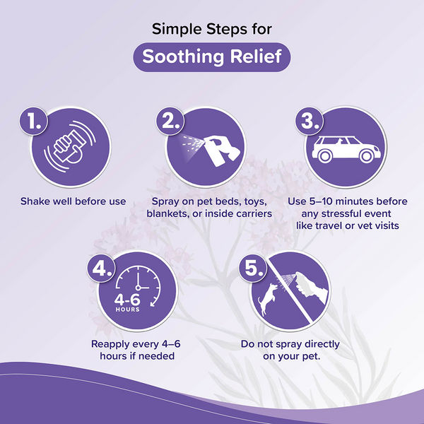 Beaphar Calming Home Spray for Dogs and Cats