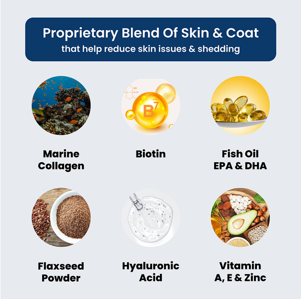 Absolut Pet Probiotics Gut Skin Coat Support Collagen and Biotin Health Dog Supplement
