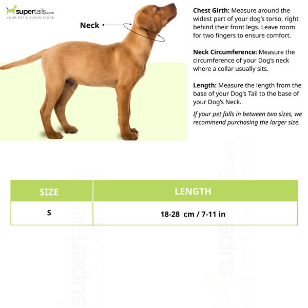 Basil Printed Collar for Cats & Puppies (Purple)