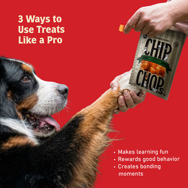 Chip Chops Diced Chicken Dog Treats