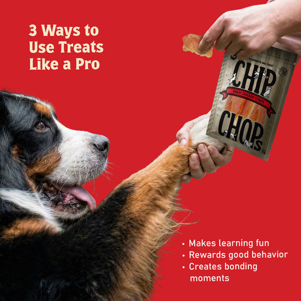 Chip Chops Roast Chicken Strips Dog Treats