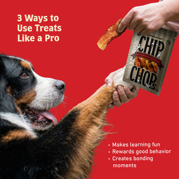 Chip Chops Sweet Potato Chicken Dog Treats