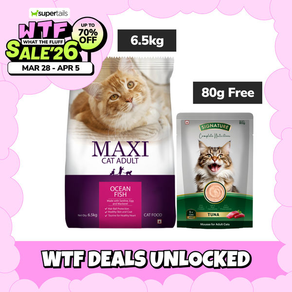 Maxi Adult Ocean Fish Adult Dry Cat Food