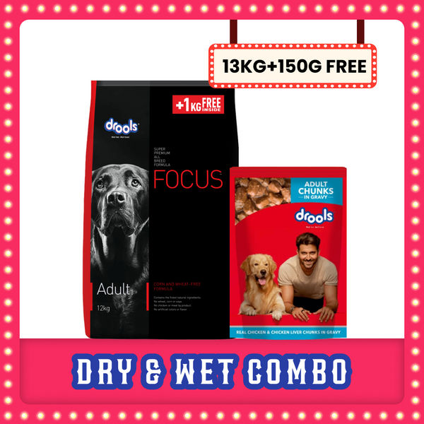 Drools Focus Super Premium Adult Dog Dry Food | Corn & Wheat Free Formula