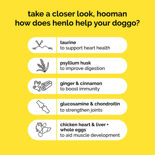 Henlo Chicken and Egg Baked Dry Food for Adult Dogs & Puppies | 100% Human Grade Ingredients