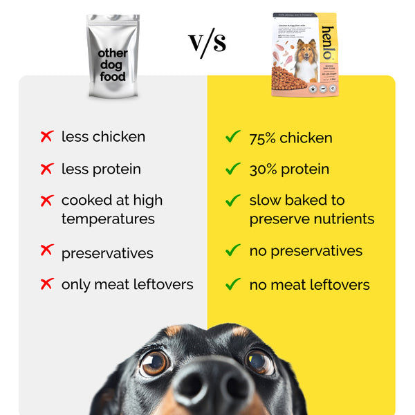 Henlo Chicken and Egg Baked Dry Food for Adult Dogs & Puppies | 100% Human Grade Ingredients