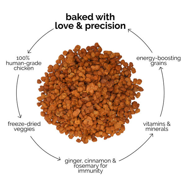 Henlo Chicken and Egg Baked Dry Food for Adult Dogs & Puppies | 100% Human Grade Ingredients