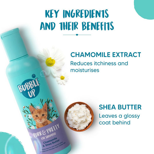 Bubble Up Chamomile and Shea Butter Shampoo for Cats