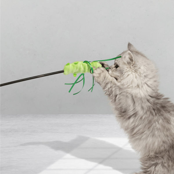 Barkbutler x Fofos Wand Moving Caterpillar Teaser Toy for Cats