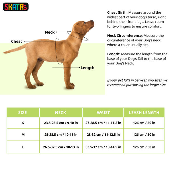 Skatrs Everyday Ready Harness & Leash Set for Small Breed Dogs & Cats (Blue)