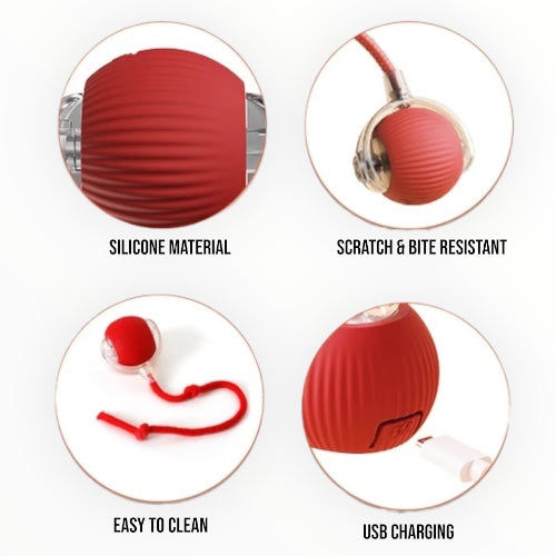 Talking Dog Club Automatic Rotating Interactive LED Ball for Cats, Kittens and Puppies (Red)