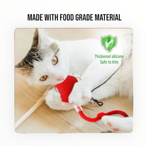 Talking Dog Club Automatic Rotating Interactive LED Ball for Cats, Kittens and Puppies (Red)