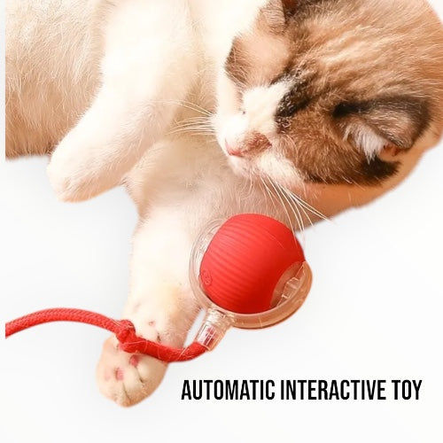 Talking Dog Club Automatic Rotating Interactive LED Ball for Cats, Kittens and Puppies (Red)