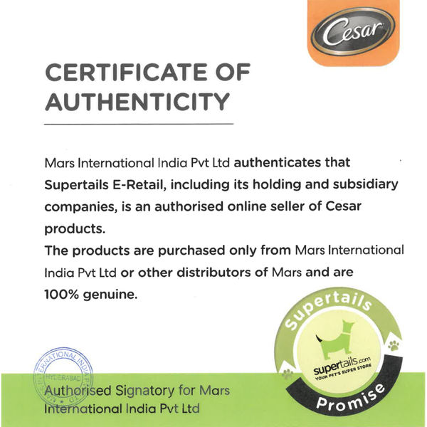 Cesar Adult Sasami Dog Wet Food