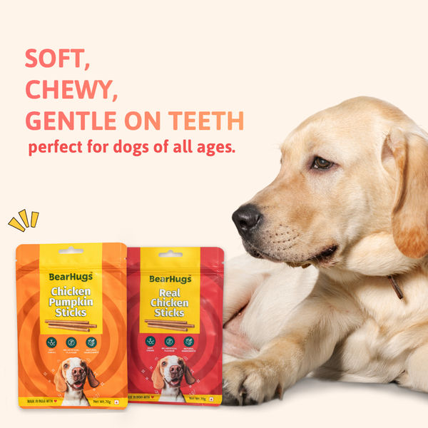 BearHugs Chicken & Pumpkin Soft & Chewy Sticks Dog Treats